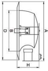 �������. �����